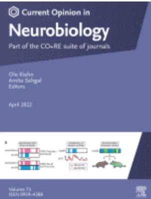 Curr Opin Neurobiol cover, 2022