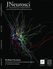 J Neurosci cover, 2019
