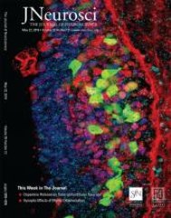 J Neurosci cover, 2019