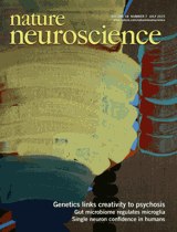 Nat Neurosci cover, 2015