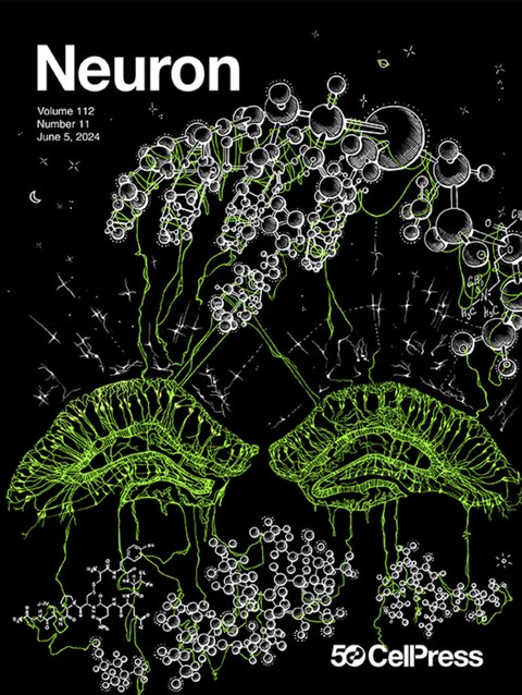 Neuron cover, 2024